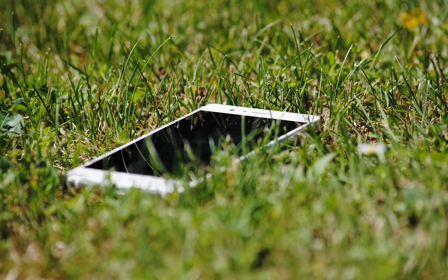 Smartphone, phone and meadow